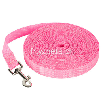 Laisse de chien de dressage de marche en nylon durable